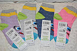 Дитячі шкарпетки, р.14, 1-2,6 років. Демисезон, фото 2