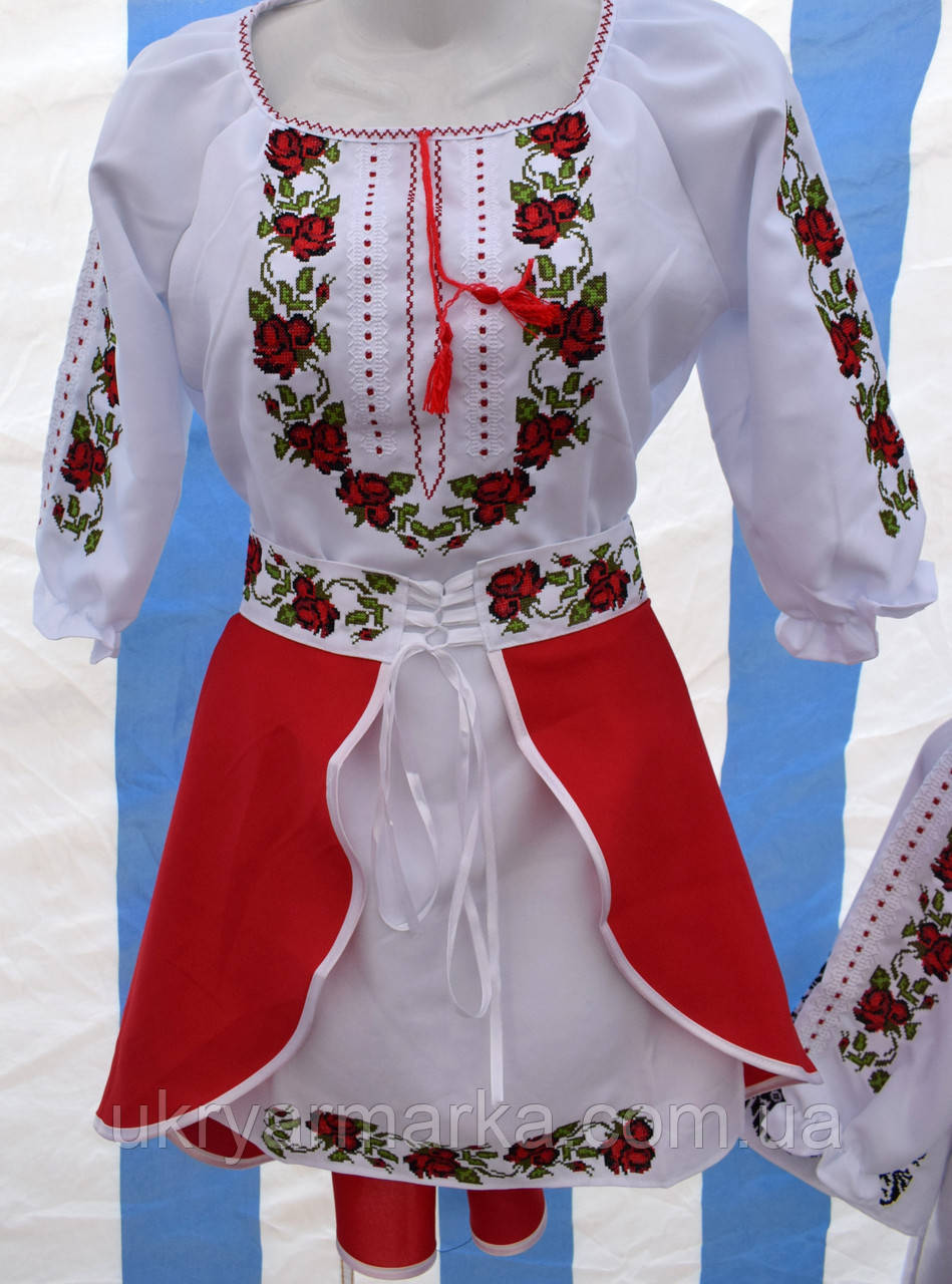 Костюм вишиваний  в українському стилі "Еріка"