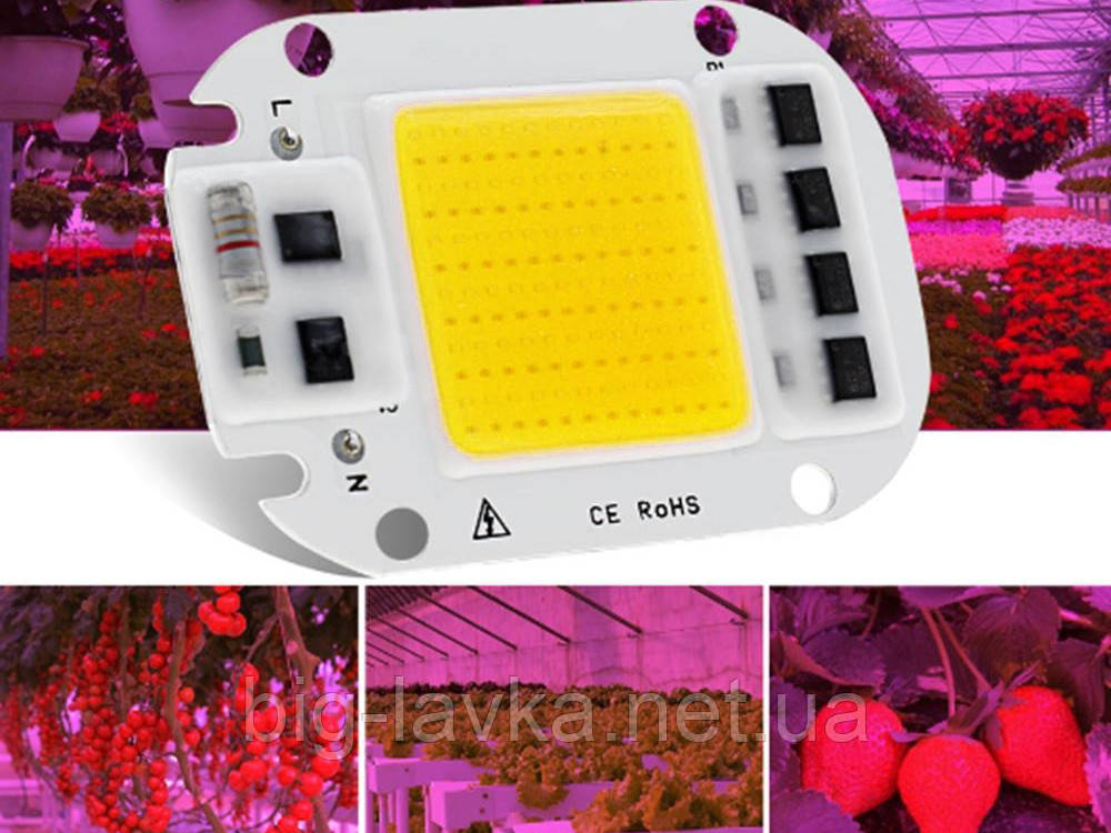 Фітосвітлодіод для росту рослин Теплий білий + 20 Вт, фото 1