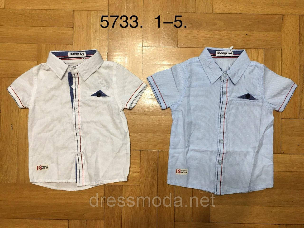 Сорочки для хлопчиків Buddy Boy 1-5 років