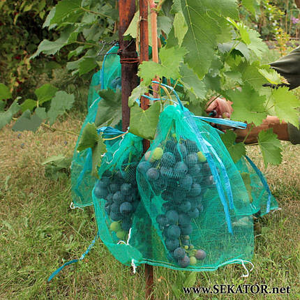 Сіточка-рукав для захисту винограду від ос, фото 2