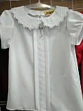 Нарядна блузка з коротким рукавом і мереживом для дівчинки "Анюта" 116р, фото 2