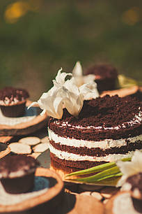 Весільний торт "Naked cake" Рустик