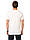 Біла чоловіча футболка Lc Waikiki/Лс Вайки з написом Summertime, фото 3
