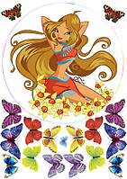 WINX 3