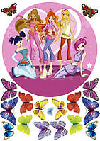 WINX 8