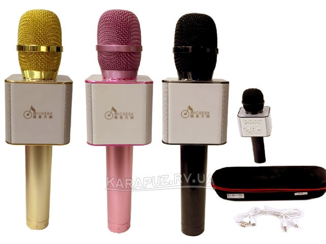 Мікрофон-караоке бездротовий Bluetooth MicGeek Q9 Karaoke з чохлом