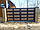 Відкатні металеві ворота Фільонка ш3000 в2200 (дизайн фільонка-жатка з вузьким полем+кульки і піки), фото 4