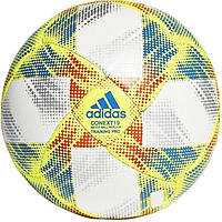 Футбольний м'яч Adidas CONEXT 19 TRAINING PRO DN8635