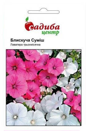 Насіння лаватери Блискуча суміш 0,5 г, Нім Zaden, фото 1