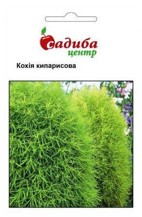 Насіння кохіі Кипарисова 1 г, Нім Zaden, фото 1