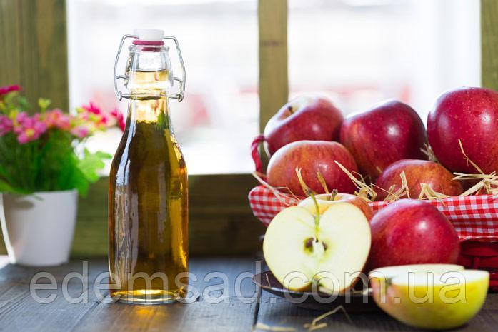 Ефективність яблучного оцту при лікуванні хвороб