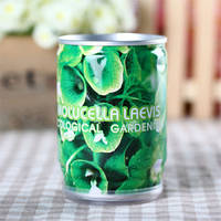 Квітка у банці "Молюцела"