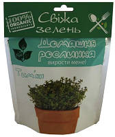 Домашня рослина "Чебрець (тім'ян)", 0,5 л