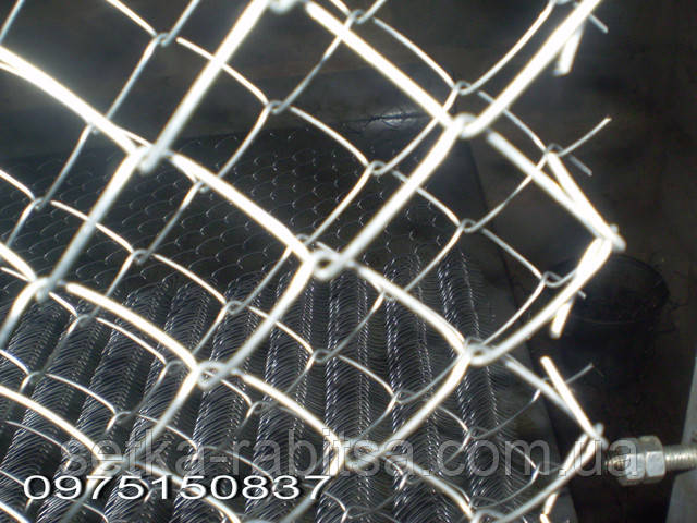 Сітка рабиця з загнутими кінцями