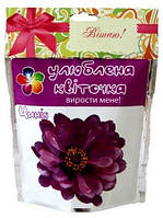 Домашня квітка "Цинія", 0,5 л