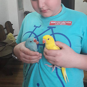 Ешектегі араб әйелдерін блять Нәпсіге толы кеуделі ананың сексі