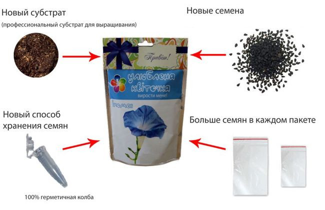 Домашня квітка "Іпомея", 0,5 л, фото 1