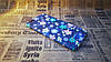 Чохол-накладка Flowers на Iphone 6 Plus, Blue, фото 2
