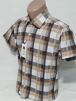 Рубашка мужская с коротким рукавом vk-0014 Mikpas классическая в клетку