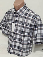 Рубашка мужская с коротким рукавом vk-0016 Mikpas классическая в клетку
