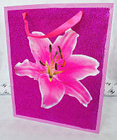 Подарунковий пакет із присипкою 26х32х10 см МІКС