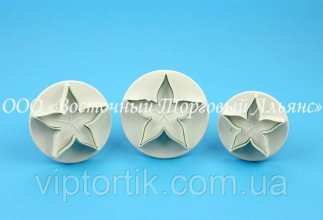 Плунжер з відбитком - Фізаліс, фото 1