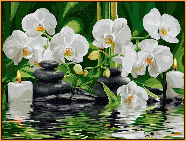 картини за номерами білі орхідеї набір Babylon Premium