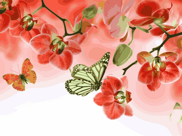 картина за номерами орхідеї і метелики замовити з доставкою по Україні