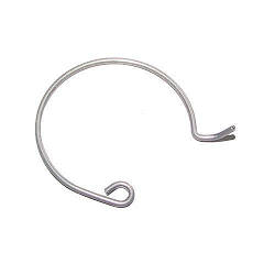 Пружина клапана тримача фільтра для кавоварки Philips Saeco 996530011811