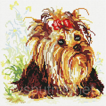 Алмазна вишивка Білосніжка «Йорик на прогулянці», фото 1