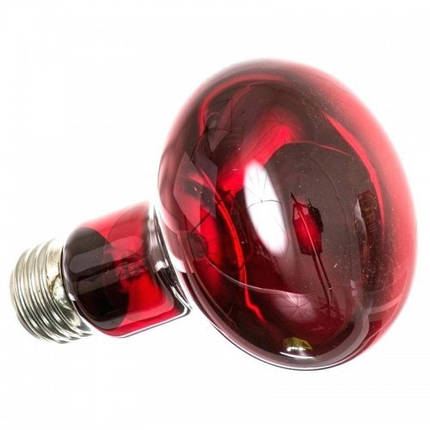 Інфрачервона нагрівальна лампа Repti-Zoo Infrared Heat 50W, фото 2