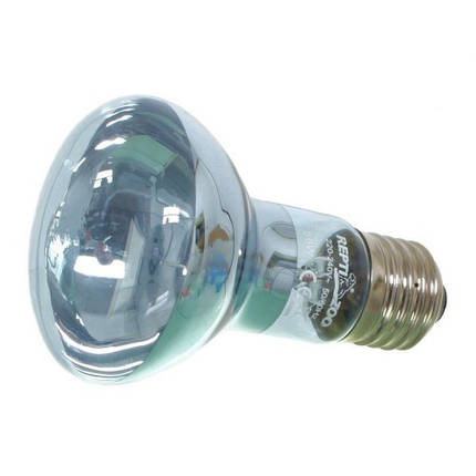 Неодимова лампа Repti-Zoo Neodymium Daylight 50W, фото 1