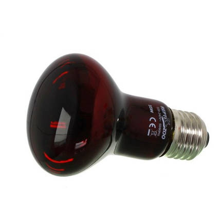 Інфрачервона нагрівальна лампа Repti-Zoo Infrared Heat 35W, фото 2