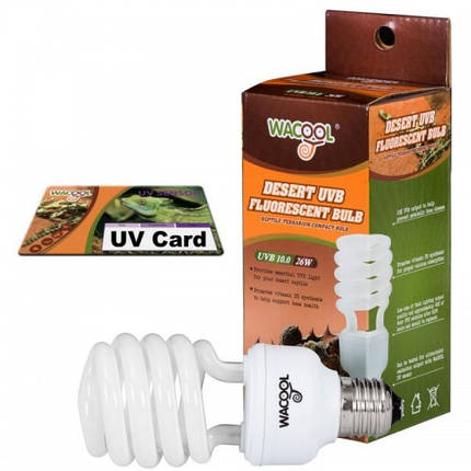 Лампочка е27 WaCool Desert UVB 10.0 26W + UV card, фото 2