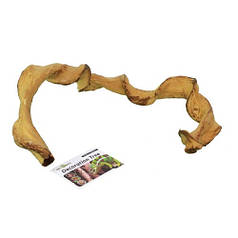 Ліана африканська вигнута Repti-Zoo 80см