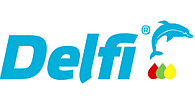 Delfi