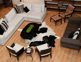 Шкіра теляти