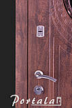 Двері "Портала" ЕЛЕГАНТ для Вулиці — модель 5 + ківка, фото 5