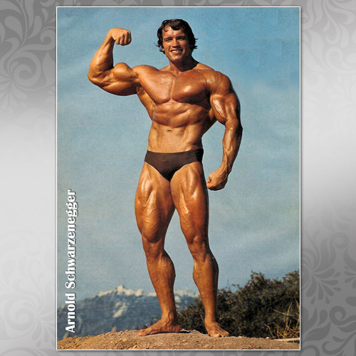 Плакат А3 Арнольд Шварценеггер 001, фото 1