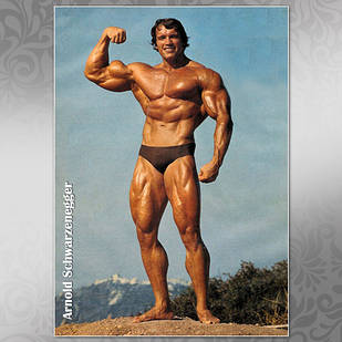 Плакат А3 Арнольд Шварценеггер 001