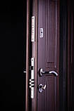 Двері "Портала" ЕЛЕГАНТ + кування, модель 4, фото 4