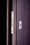 Двері "Портала" ЕЛЕГАНТ + кування, модель 4, фото 5