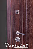 Двері "Портала" — модель Каприз, фото 4
