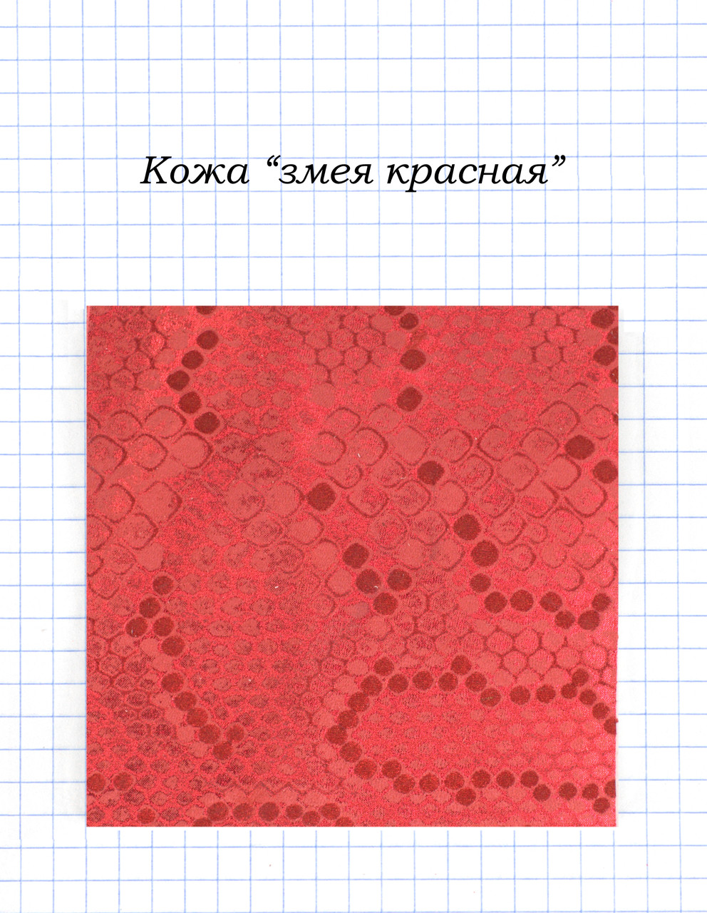 Шкіра "Змія червона"