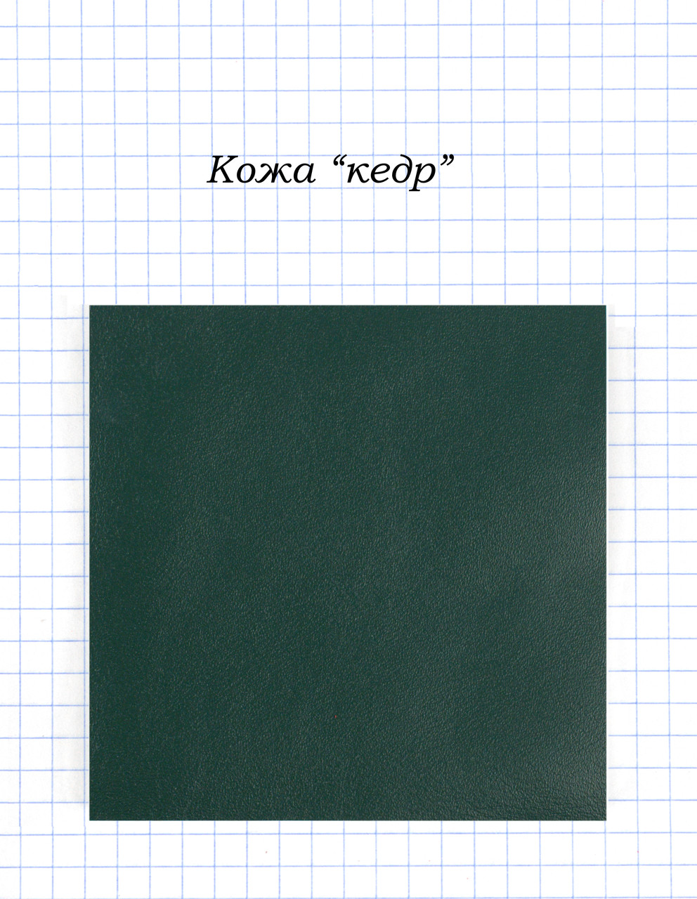 Шкіра "Кедр"