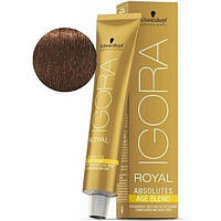 Стойкая краска для седых волос SCHWARZKOPF Igora Royal Absolutes 60 мл 6-460 Темный русый бежевый шоколадный