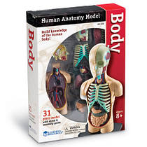 Демонстраційні моделі "Тіло та внутрішні органи людини"