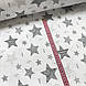 Бавовняна тканина польська зірки сірі та маленькі з малюнком усередині на білому (0430), фото 2