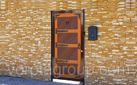 Калитка уличная DoorHan Premium - фото 2 - id-p95039560